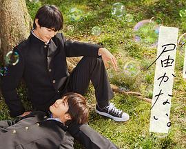 富源县关键词seo排名优化